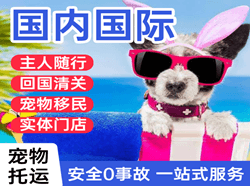 普洱思茅机场邮寄国际宠物托运 【国